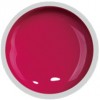 Gel UV Color FSM 8ml- 031 Rose Red